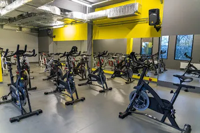 Siłownia RMG GYM Gniezno